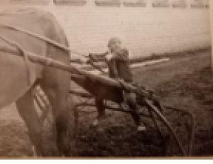 Внучка Анна Афанасьева примеряет роль наездника